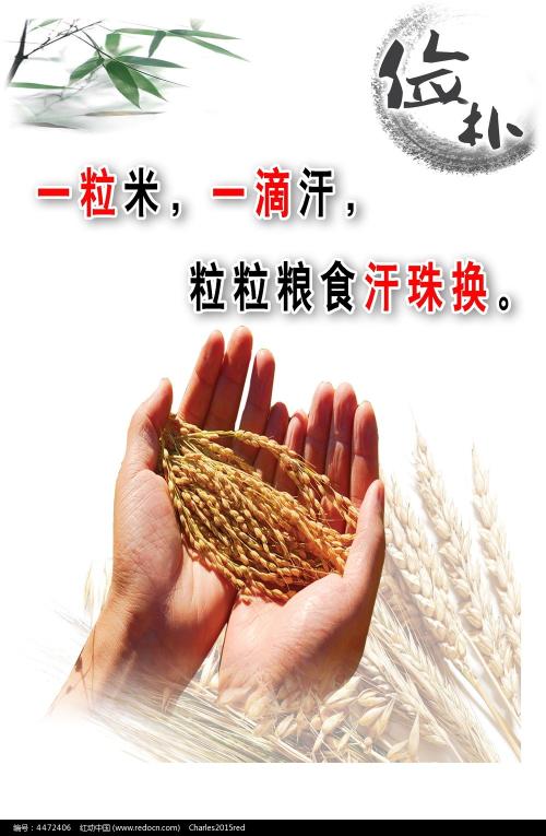 哪里能办北园大学文凭毕业证